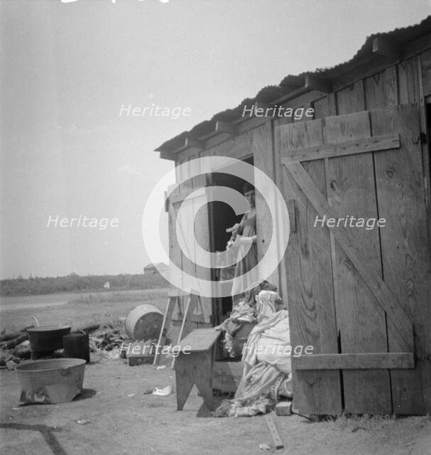 Housing for cotton pickers, South Texas, 1936. Creator: Dorothea Lange.
