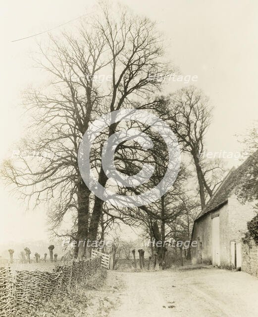 Kelmscott Manor: Road and Entrance, 1896. Creator: Frederick Henry Evans.