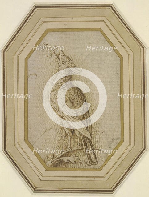 Bird on a Branch, ca. 1470-1480. Creator: Mantegna, Andrea (1431-1506).