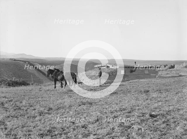 The Daugherty home, Warm Springs district, Malheur County, Oregon, 1939. Creator: Dorothea Lange.