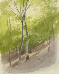 Forest slope, 1856. Creator: Carl Theodor Reiffenstein.