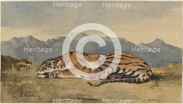 Tiger, c. 1830. Creator: Eugene Delacroix.