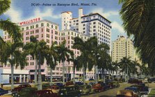 Palms on Biscayne Boulevard, Miami, Florida, USA, 1949. Artist: Unknown