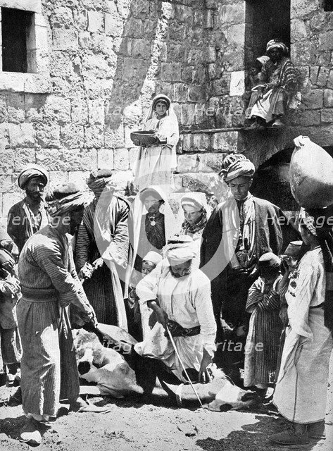 Killing the fatted calf.Artist: Underwood & Underwood