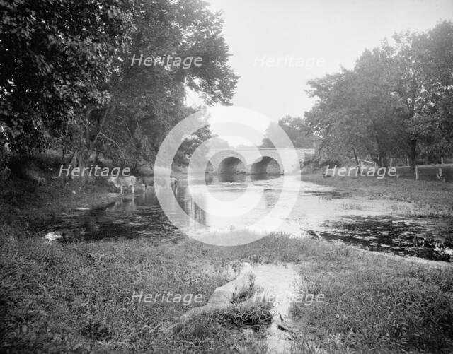 Robson's Bridge, Wilmington, Ill., between 1900 and 1906. Creator: Unknown.