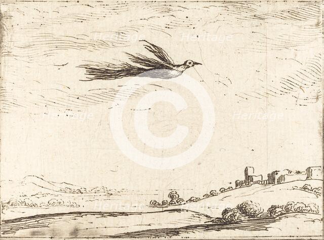 Bird of Paradise. Creator: Jacques Callot.