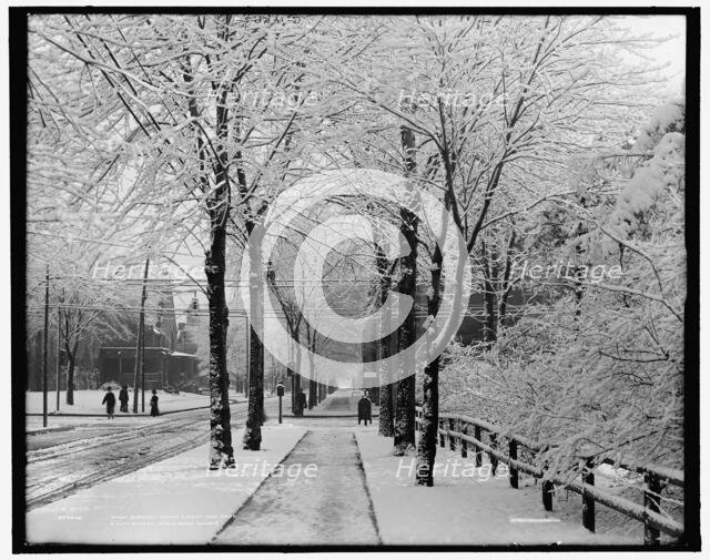 What sorcery within a night has made a city street into a fairy glade?, between 1900 and 1910. Creator: Unknown.