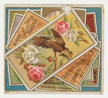 Cuckoo, from the Birds of America series (N37) for Allen & Ginter Cigarettes, 1888. Creator: Allen & Ginter.