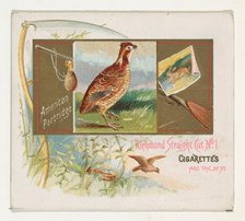 American Partridge, from the Game Birds series (N40) for Allen & Ginter Cigarettes, 1888-90. Creator: Allen & Ginter.