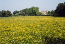 Walmer Castle Meadow, Kent, c2000s(?).  Artist: Historic England Staff Photographer.