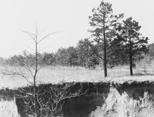 Erosion near Oxford, Mississippi, 1936. Creator: Walker Evans.