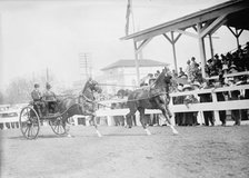 Horse Shows - John Roll Mclean Entries, 1911. Creator: Harris & Ewing.