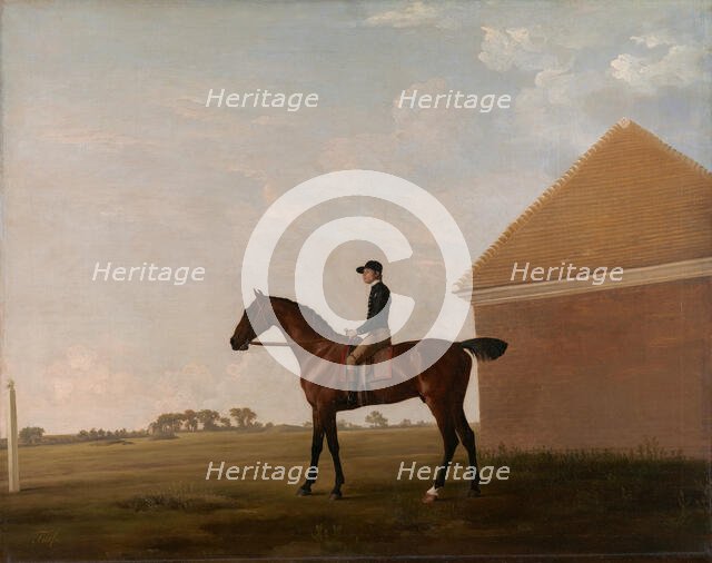 Turf, with Jockey up, at Newmarket, ca. 1766. Creator: George Stubbs.