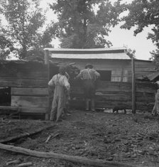Noon time chores of Negro tenant farmer..., Granville County, North Carolina, 1939. Creator: Dorothea Lange.