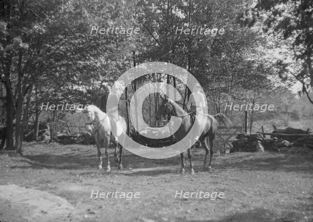 Rothbart, Albert, Mr., on horseback, with unidentified woman on horseback, between 1920 and 1935. Creator: Arnold Genthe.