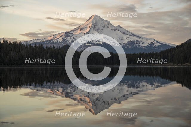 Mount Hood Morning. Creator: Joshua Johnston.