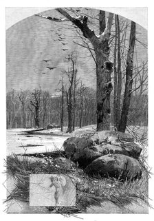 The Months: January, 1880. Creator: Unknown.