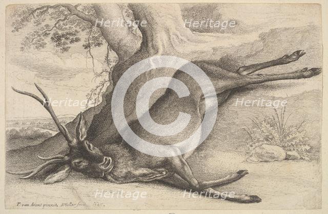 Dead stag, 1646. Creator: Wenceslaus Hollar.
