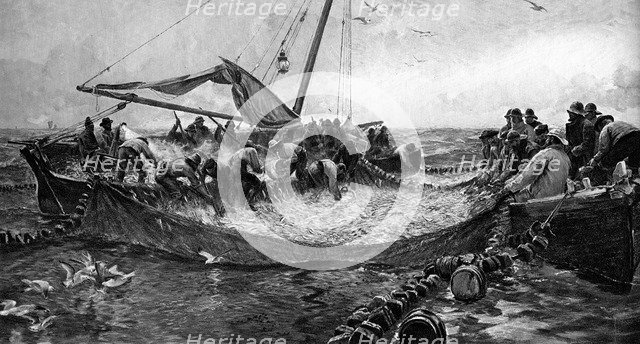 'Pilchards', 1900. Artist: Unknown