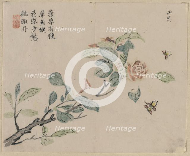 Flowering Branch with Bees, 18th Century. Creator: Unknown.