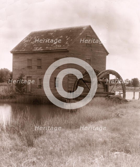 "Poplar Grove," Arthur Saint Clair Butler house, Williams, Mathews County, Virginia, 1935. Creator: Frances Benjamin Johnston.