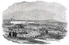 Lewes Great Sheep Fair, 1850. Creator: Unknown.