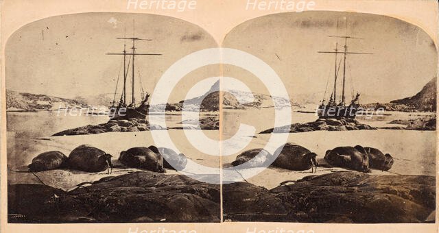 Scène de la mer glacial, ca. 1859. Creator: Isaac Israel Hayes.