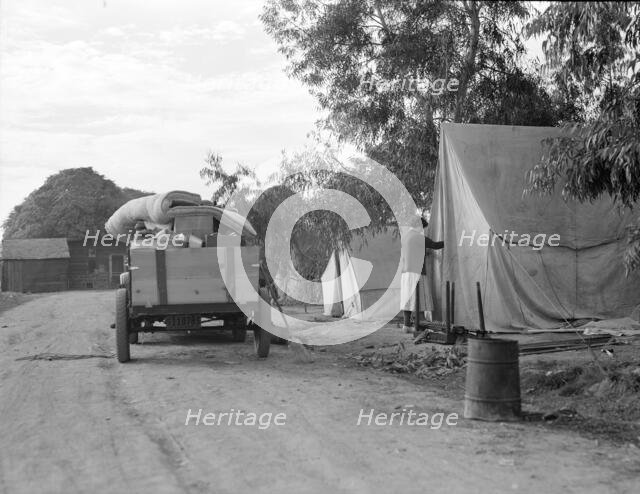 Cotton camp near Exeter, California, 1936. Creator: Dorothea Lange.