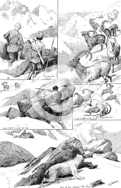Ibex-shooting in the Shigar Nullahs, Baltistan, Himalayas, 1890. Creator: Unknown.