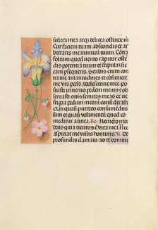Hours of Queen Isabella the Catholic, Queen of Spain: Fol. 237v, c. 1500. Creator: Master of the First Prayerbook of Maximillian (Flemish, c. 1444-1519); Associates, and.