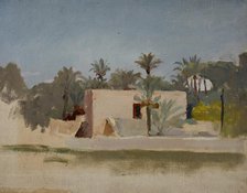 Spain (Elche), 1899. Creator: Jan Ciaglinski.