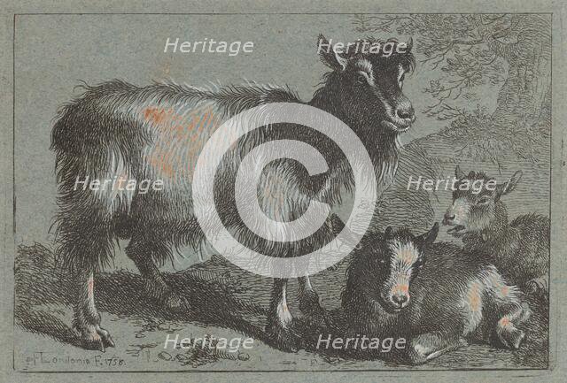 Goat and Two Kids, 1758. Creator: Francesco Londonio.