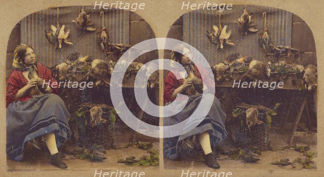 Young woman seated by table with dead fowl, rabbits, etc., about 1860. Creator: Unknown.