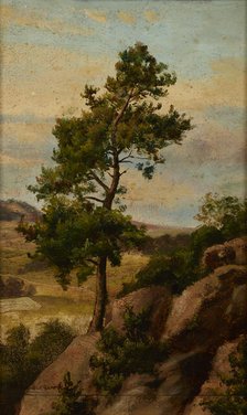Stone Pine, before 1870. Creator: Heinrich Grabinski.