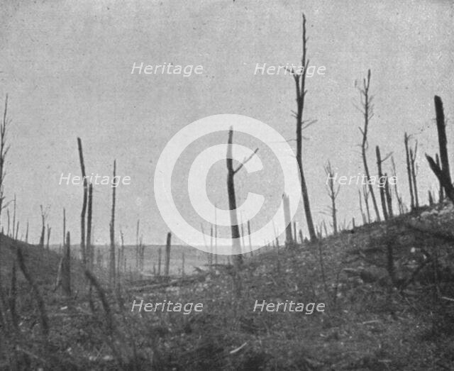 'La reprise du bois de la Caillette; Le debouche du ravin de la Caillette', 1916. Creator: Unknown.