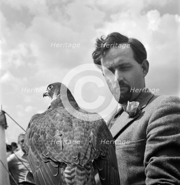 A falconer and bird, Windsor Royal Show, Windsor Great Park, c1946-c1959. Artist: John Gay