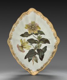 Lozenge Shaped Dish from Dessert Service: Large Flowered St. John's Wort, c. 1800. Creator: Derby (Crown Derby Period) (British).
