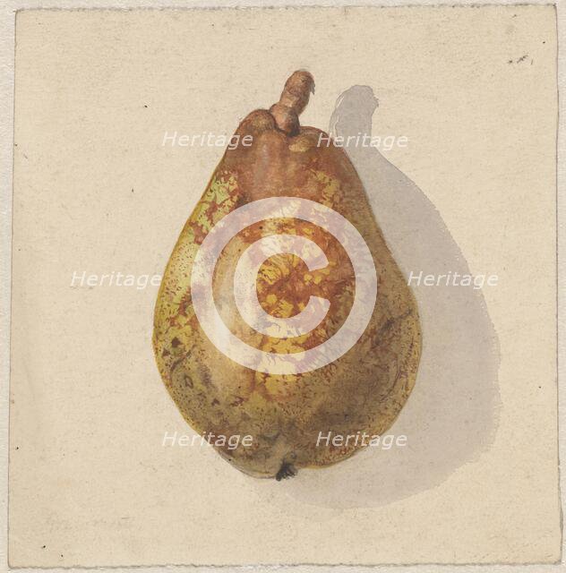 Pear, 1836-1895. Creator: Gerardina Jacoba van de Sande Bakhuyzen.