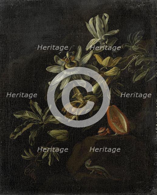 Still Life with Passionflowers, 1670-1708. Creator: Elias Van Den Broeck.