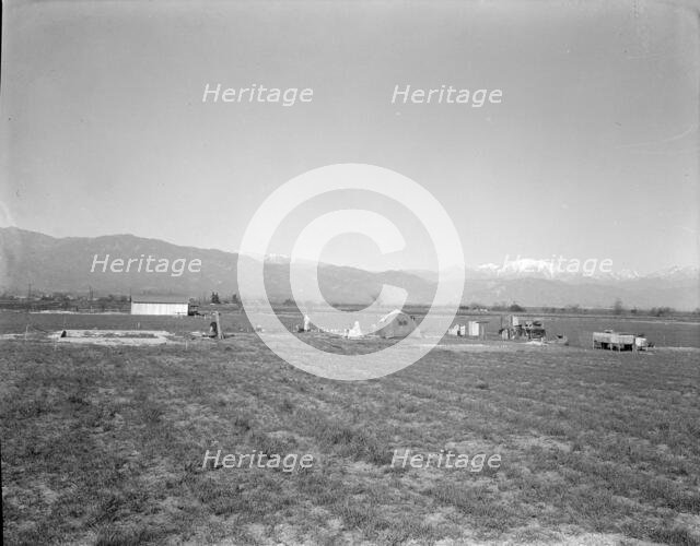 Oklahomans trying to make a new start in California, Near Los Angeles, 1936. Creator: Dorothea Lange.