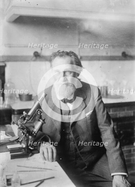 Elie Metchnikoff, between c1910 and c1915. Creator: Bain News Service.