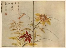 Dragonfly with plants, 1746, (1924).  Creator: Ooka Shunboku.