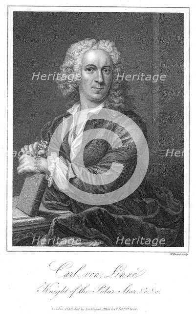 Carolus Linnaeus, 18th century Swedish naturalist. Artist: W Evans