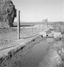 Emmett Smith's yard, back of the house, Dead Ox Flat, Malheur County, Oregon, 1939. Creator: Dorothea Lange.