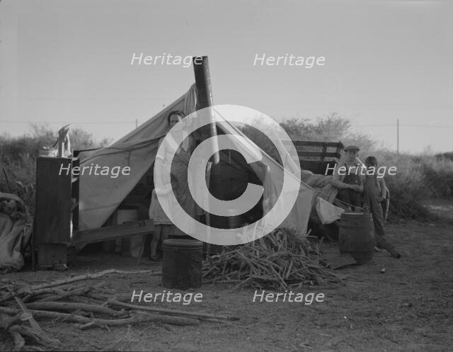 Unemployed family from the Rio Grande Valley, Texas..., near Holtville, California, 1937. Creator: Dorothea Lange.