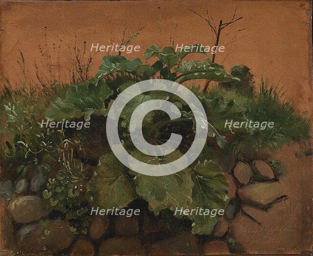 A Burdock and Other Plants on a Stone Wall, 1847. Creator: Johan Thomas Lundbye.