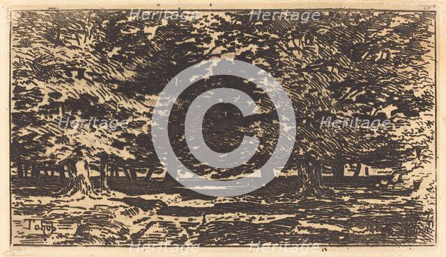 Forêt. Creator: Felix Hilaire Buhot.