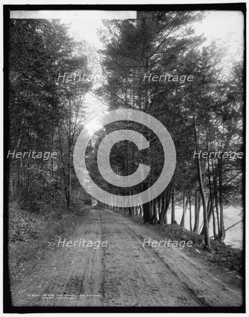 Along the shore, Lake Dunmore, Green Mountains, between 1900 and 1906. Creator: Unknown.