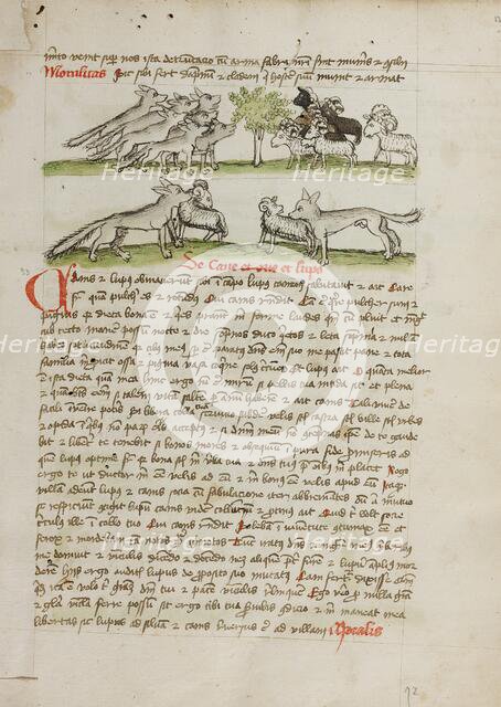 A Herd of Wolves Attacking a Flock of Rams; Fables, third quarter of 15th century. Creator: Unknown.