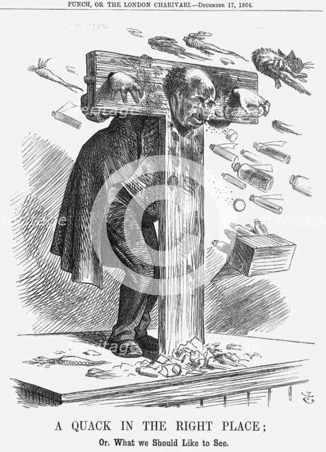 'A Quack in the Right Place', 1864. Artist: John Tenniel